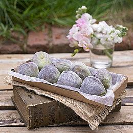 揭秘《极限竞速：地平线5》实机画面，《地平线4》史低折扣心动开启